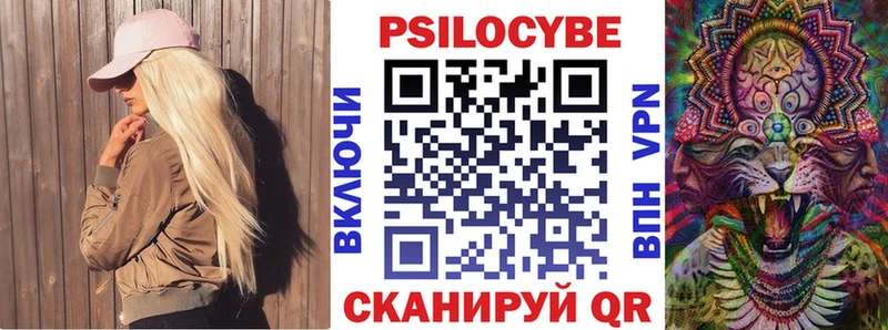 Псилоцибиновые грибы Cubensis Азнакаево