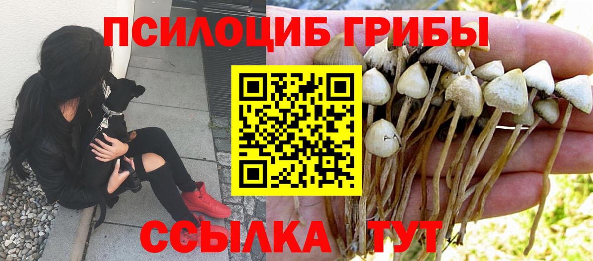 Азнакаево  Псилоцибиновые грибы прущие грибы  Вход с VPN 